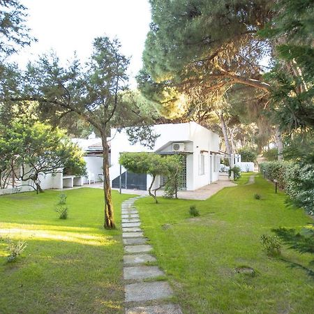 Villa Eucalipto Valledoria  Extérieur photo
