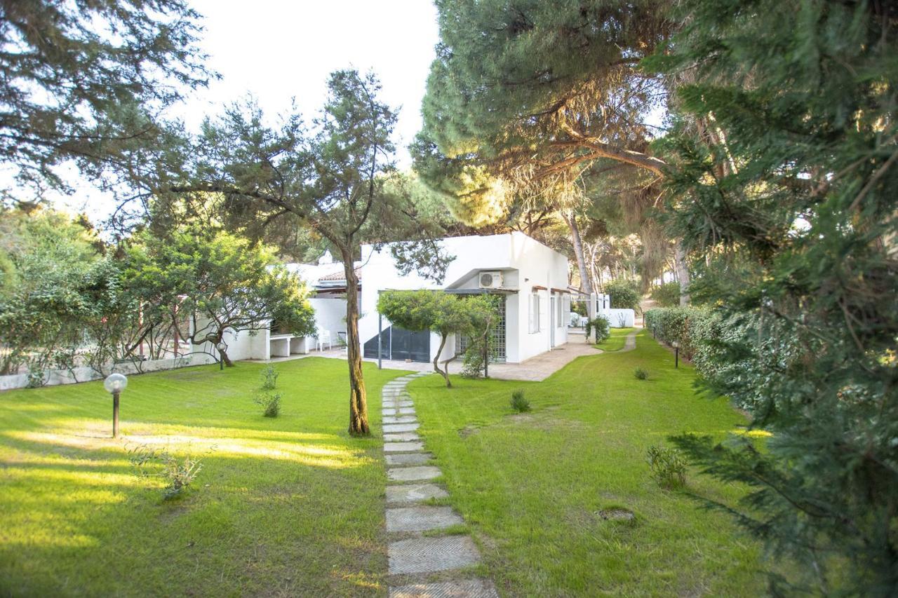 Villa Eucalipto Valledoria  Extérieur photo
